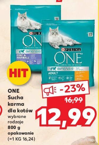 Kaufland Karma dla kota coat & hairball kurczak i pełne ziarna purina one oferta