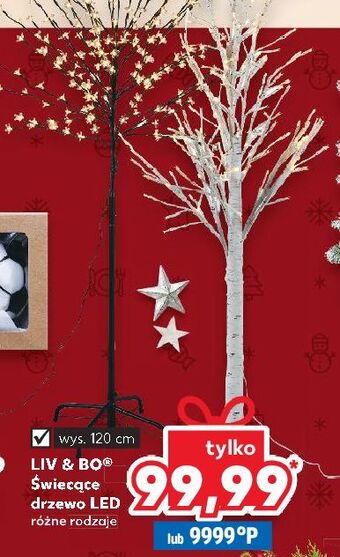 Kaufland Drzewko świąteczne led liv & bo oferta