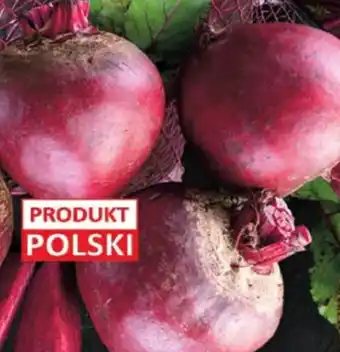 Delikatesy Centrum Burak czerwony oferta