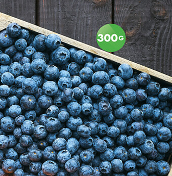 Biedronka Borówka amerykańska oferta