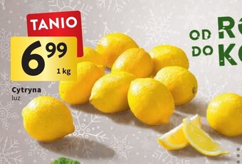 Intermarche Cytryna oferta