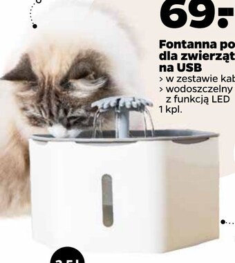 Netto Fontanna oferta