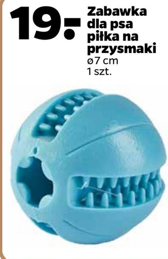 Netto Zabawka dla psa oferta