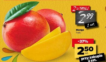 Netto Mango 1 sztuka oferta