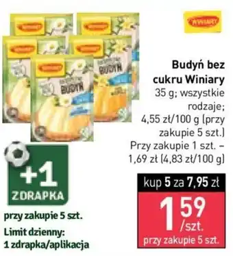 Stokrotka Nestle Budyń bez cukru 35 g wszystkie rodzaje oferta