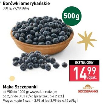 Stokrotka Borówki amerykańskie 500 g oferta