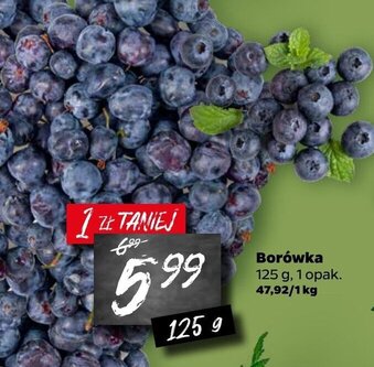 Netto Borówka 125g oferta