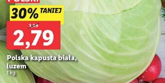 Lidl Kapusta biała oferta