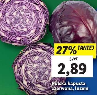 Lidl Kapusta czerwona oferta