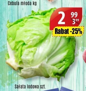 API MARKET Sałata lodowa 1szt. oferta