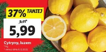 Lidl Cytryny oferta
