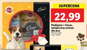 Lidl Zestaw w pudełku: przysmak rodeo + ranchos karma cesar pedigree oferta