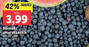 Lidl Borówka amerykańska oferta