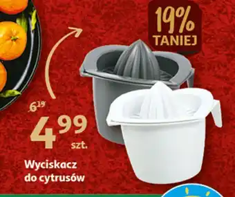 Auchan Wyciskacz do cytrusów oferta