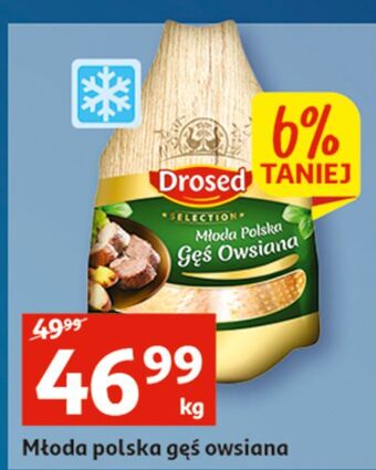 Auchan Gęś owsiana drosed oferta