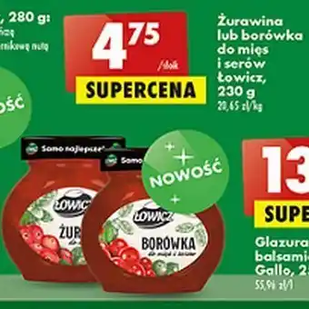 Biedronka Borówka do mięs i serów łowicz oferta