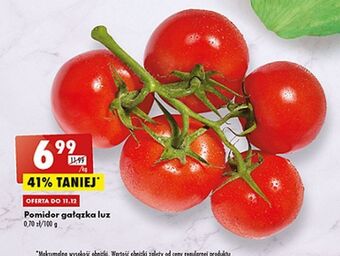 Biedronka Pomidor gałązka oferta