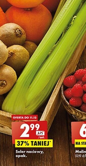 Biedronka Seler naciowy oferta