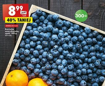 Biedronka Borówki amerykańskie oferta
