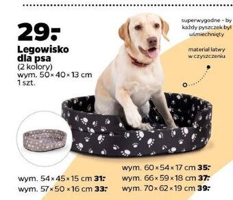 Netto Legowisko dla psa oferta