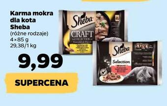 Netto Karma mokra dla kota sheba oferta