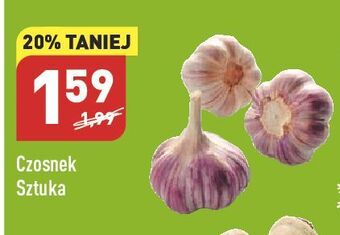 ALDI Czosnek oferta