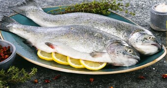 Auchan Pstrąg oferta