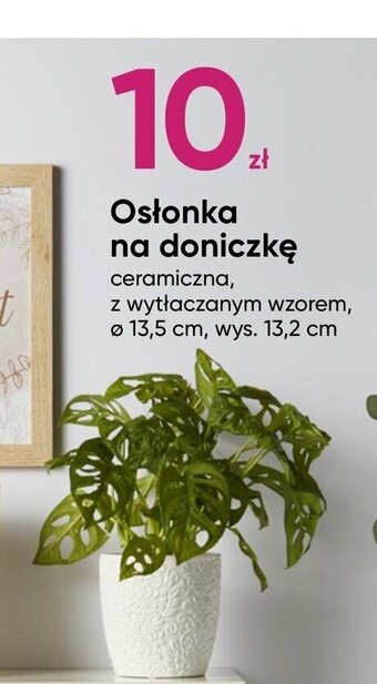 Pepco Osłonka na doniczkę oferta