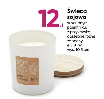 Pepco Świeca sojowa oferta