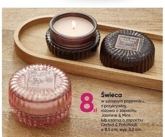 Pepco Świeca oferta