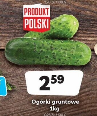 Delfin Ogórki gruntowe 1kg oferta