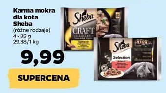 Netto Karma dla kota drobiowa sheba craft collection oferta