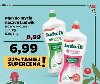 Netto Płyn do mycia naczyń malinowy ludwik oferta