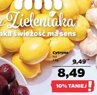 Netto Cytryny oferta