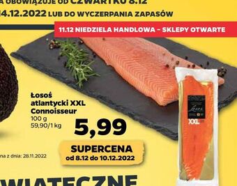Netto Łosoś atlantycki xxl filet ze skórą connoisseur oferta