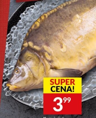 Twój Market Karp oferta