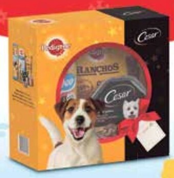 Netto Karma dla psa pedigree oferta
