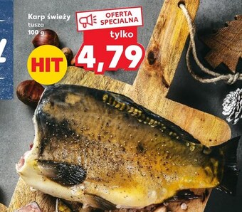 Kaufland Karp oferta