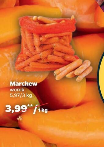 Netto Marchew oferta