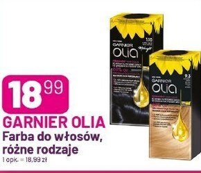 Koliber drogerie Garnier olia farba do włosów brąz 5.0 oferta