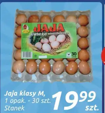 Społem Jajka stanek oferta