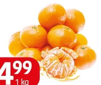 E.Leclerc Mandarynki oferta