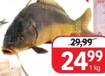 E.Leclerc Karp oferta