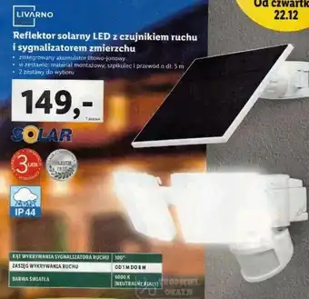 Lidl Livarno Reflektor solarny LED z czujnikiem ruchu i sygnalizatorem zmierzchu 2 zestawy do wyboru oferta