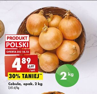 Biedronka Cebula oferta
