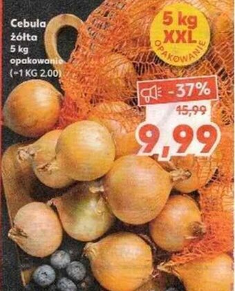 Kaufland Cebula żółta 5kg opak. oferta