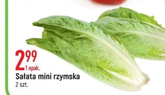 E.Leclerc Sałata rzymska mini oferta