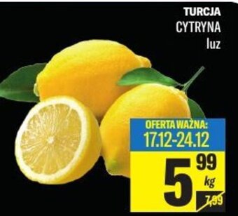 Turcja Cytryna luz kg