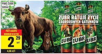 Żubr piwo 500ml
