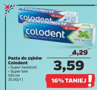 Netto Pasta do zębów colodent super biel oferta